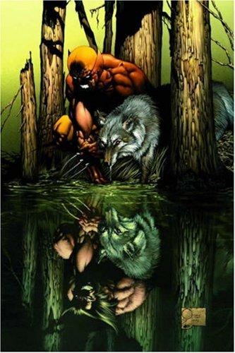 Wolverine: Origins