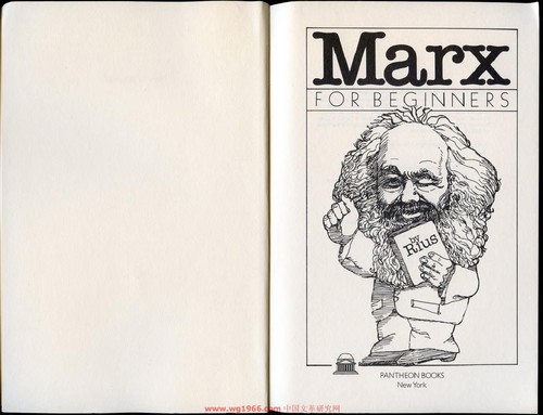 Marx for Beginners
