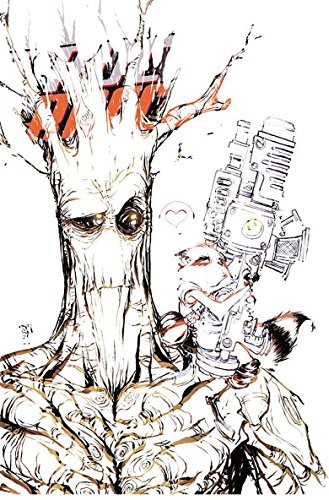 Rocket Raccoon and Groot