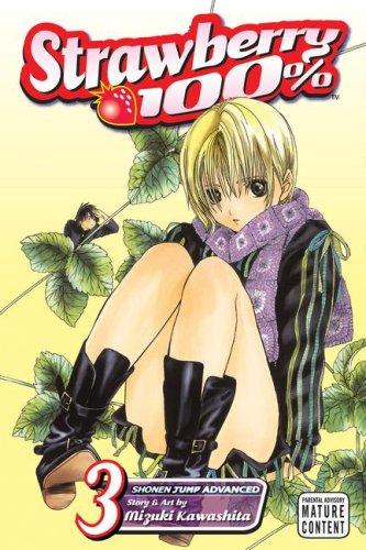 Strawberry 100% #3 cover