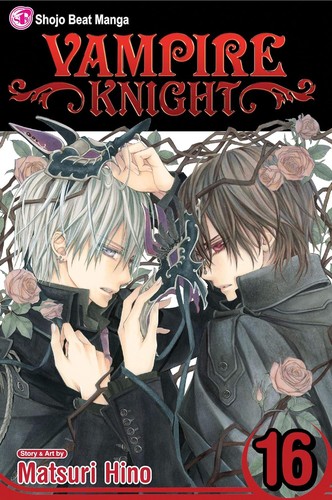 Vampire Knight #16 cover