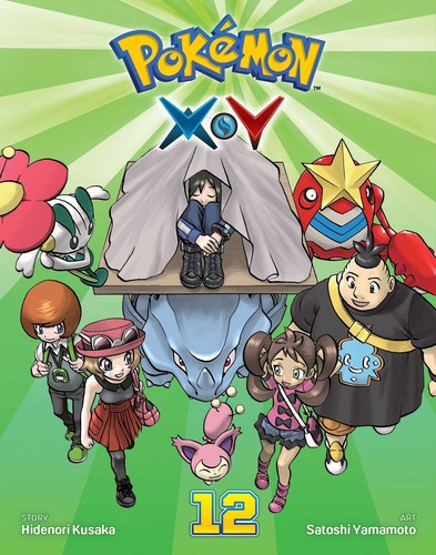 Pokémon X•Y #12 cover