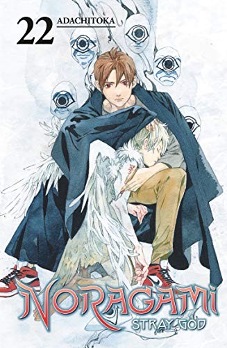 Noragami: Stray God #22 cover