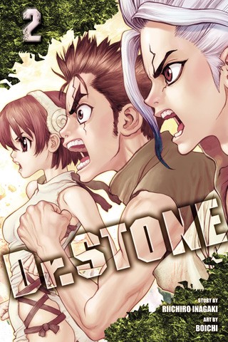 Dr. Stone #2 cover