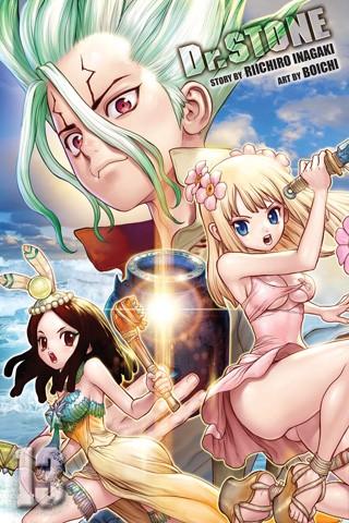 Dr. Stone #13 cover