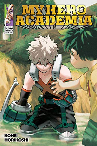My Hero Academia #29 cover