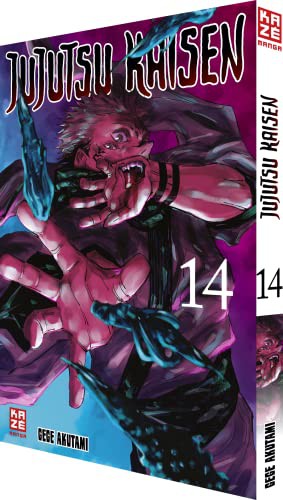 Jujutsu Kaisen #14 cover