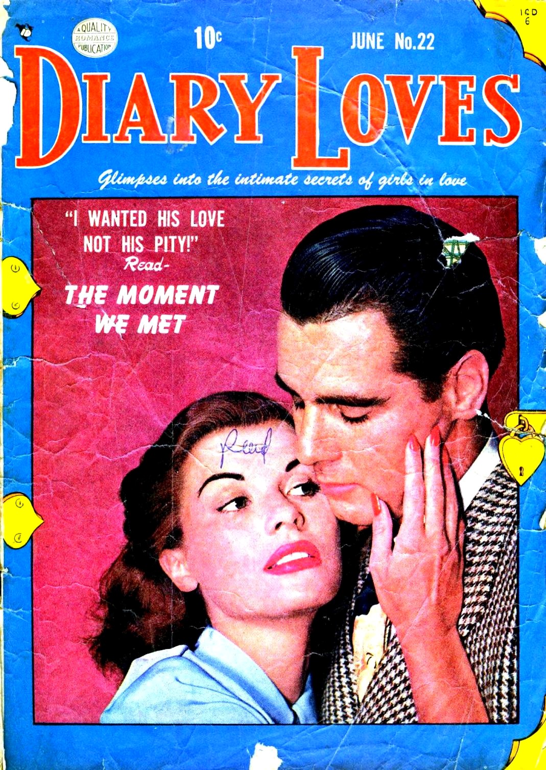 Diary Loves #22 cover
