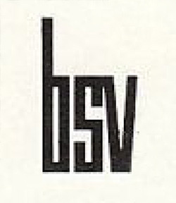 BSV - Williams logo
