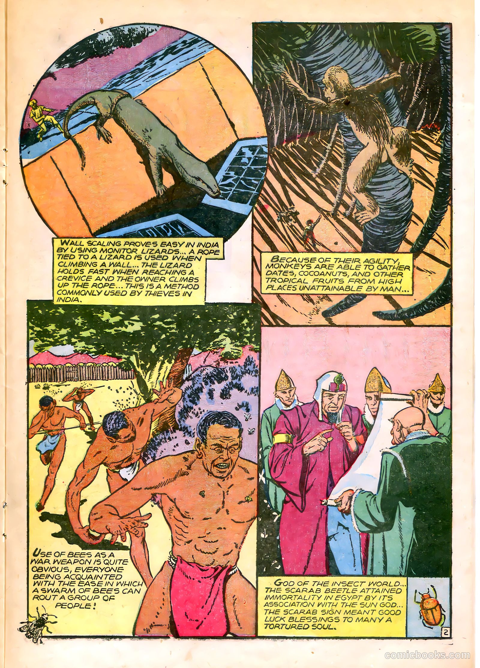 Kaänga Comics #19 (1954) — page 22 of 37