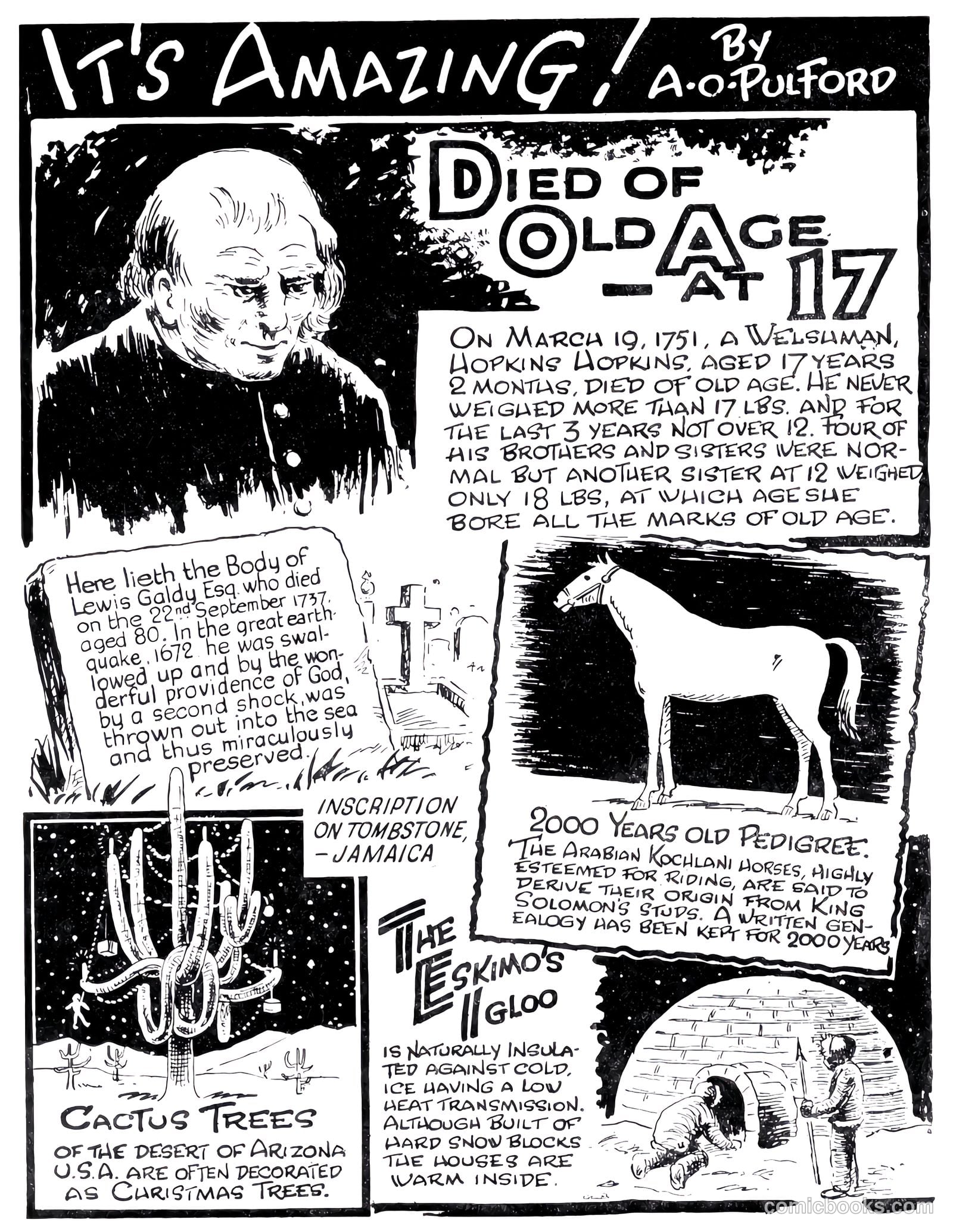 Knockout Fun Book #1955 — page 95 of 123