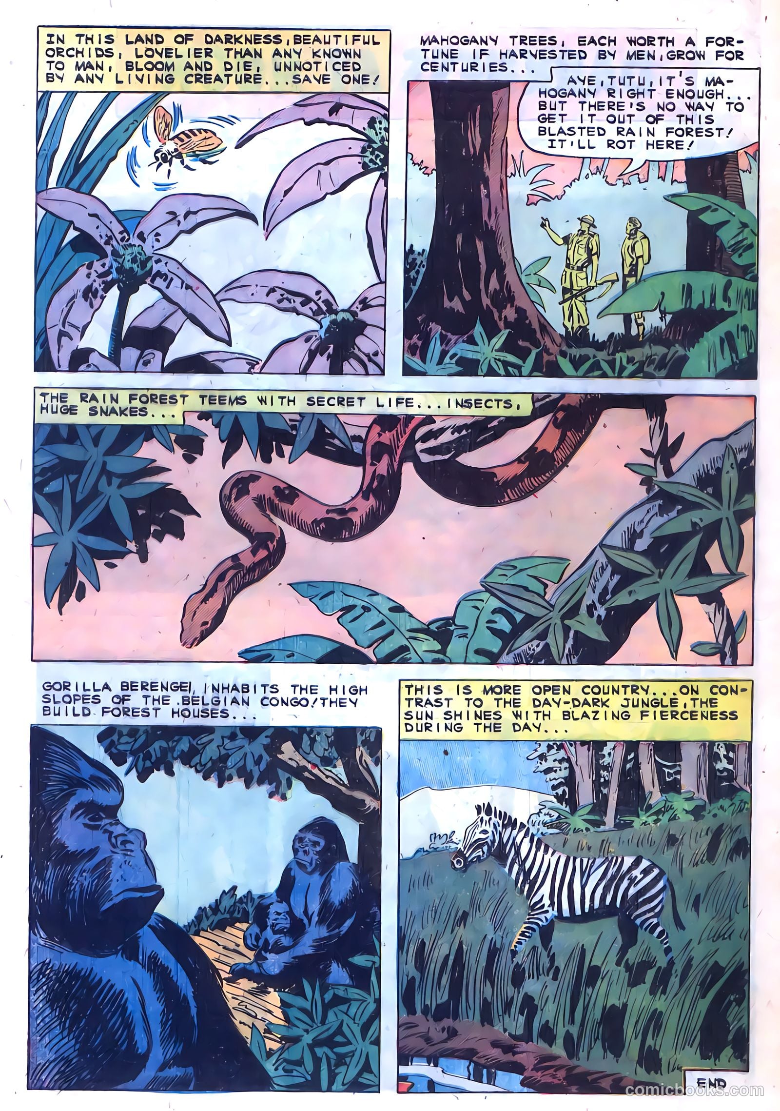 Konga #1 (1960) — page 28