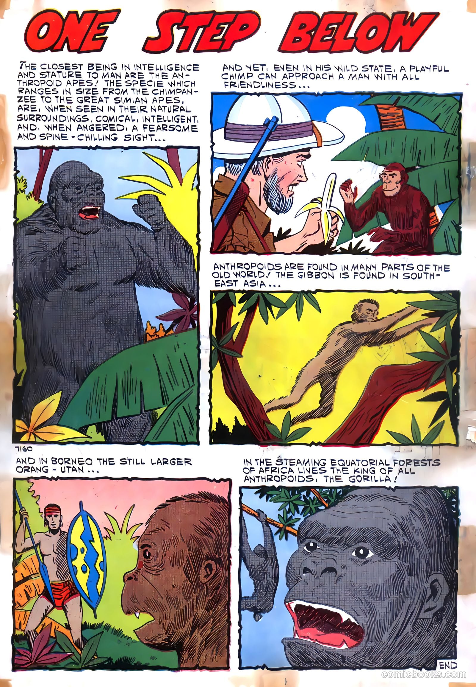 Konga #1 (1960) — page 36