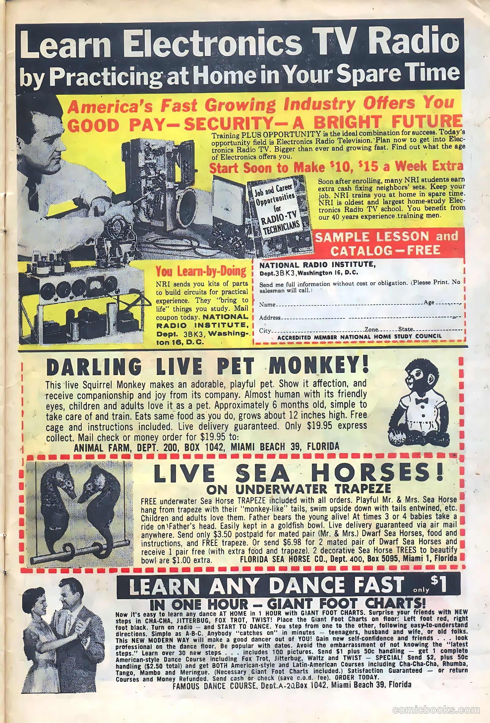Konga #12 (1963) — page 31