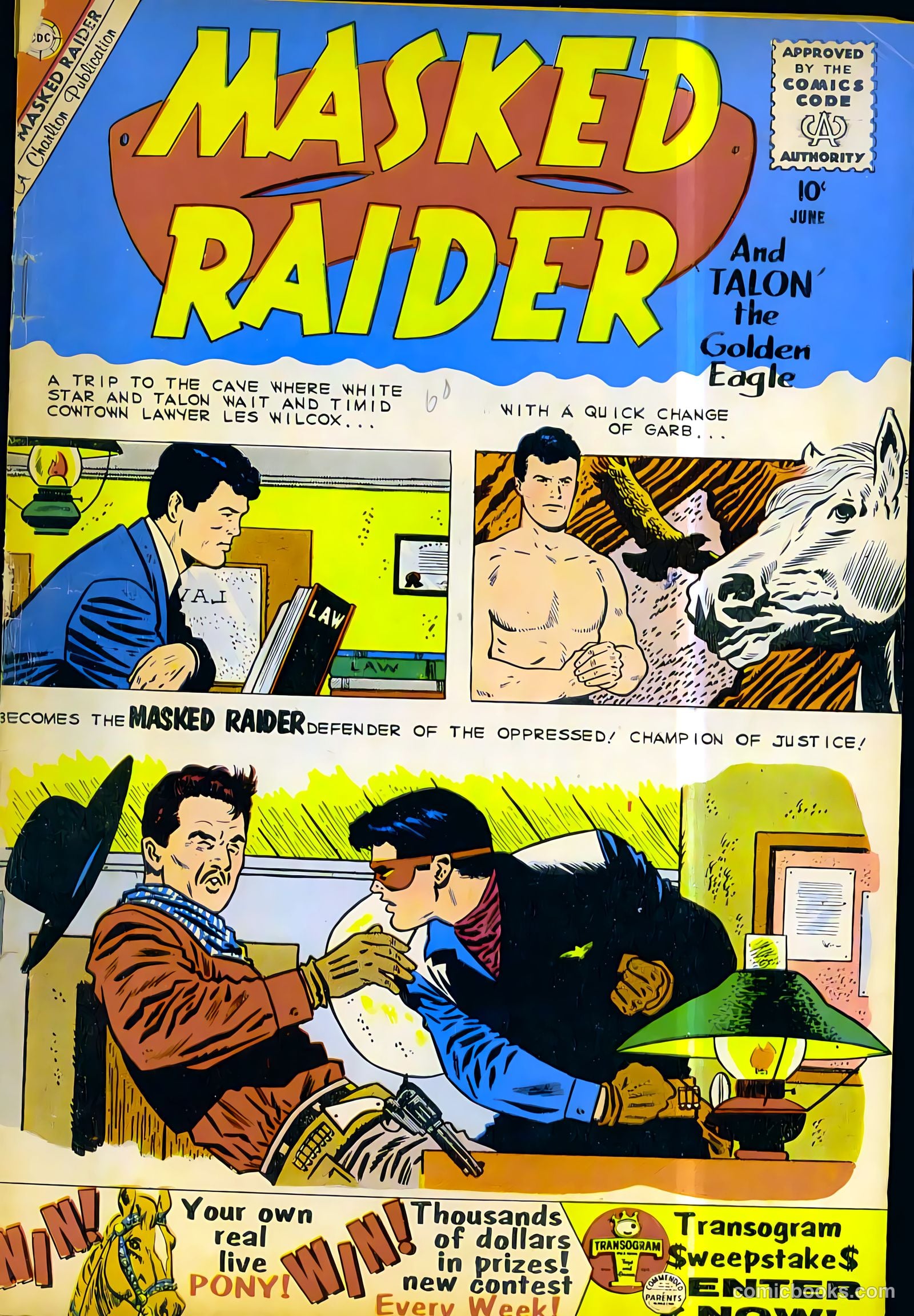 Masked Raider #24