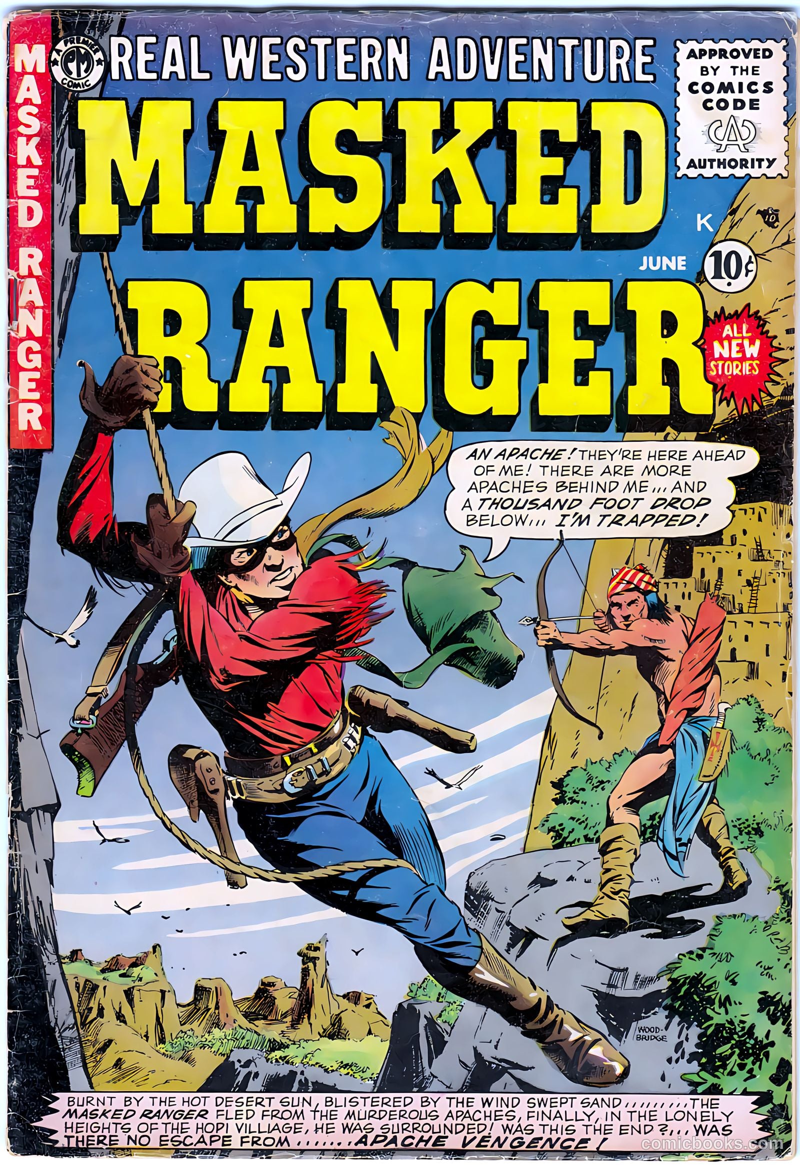 Masked Ranger #8