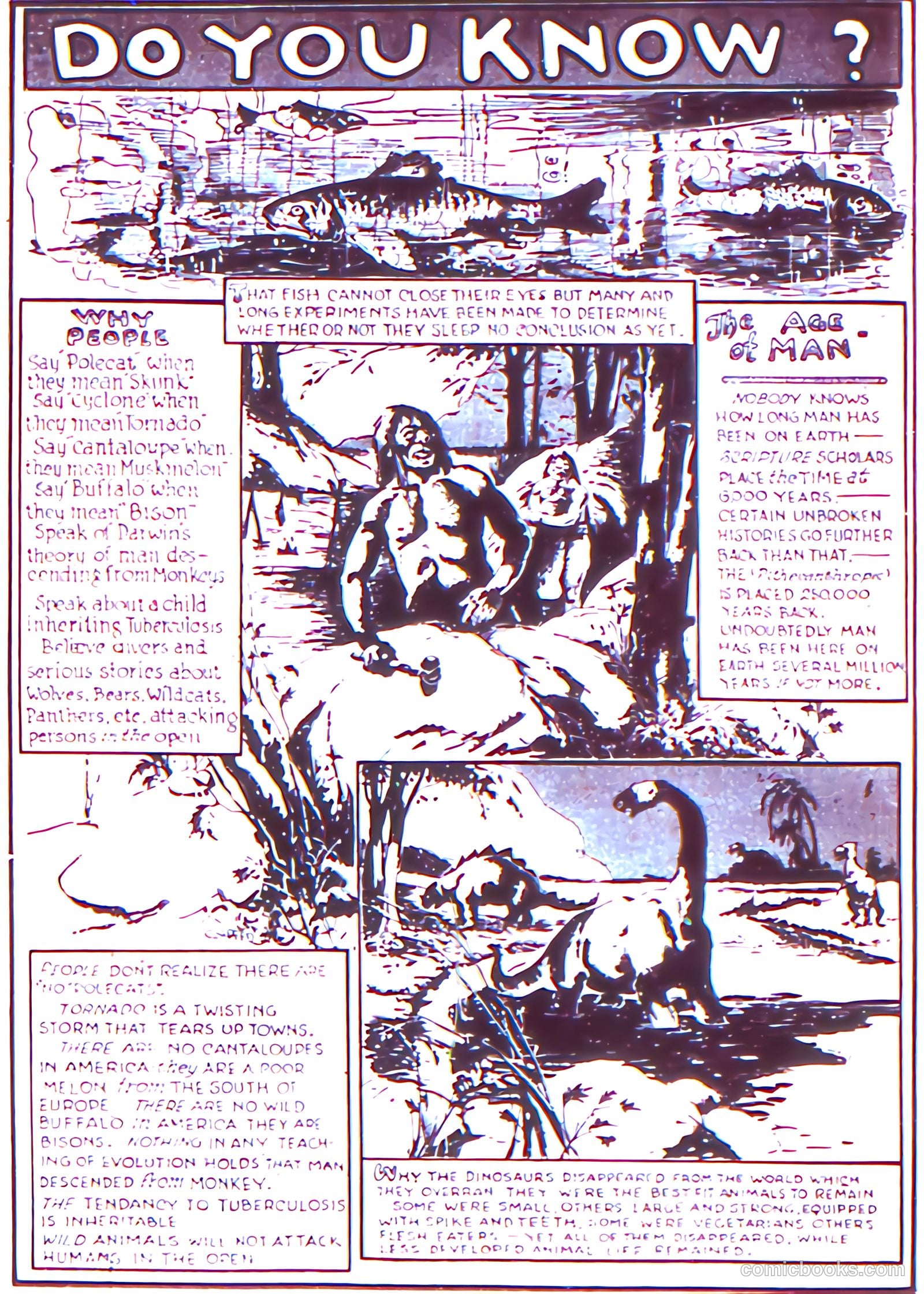More Fun Comics #12 (1936) — page 47