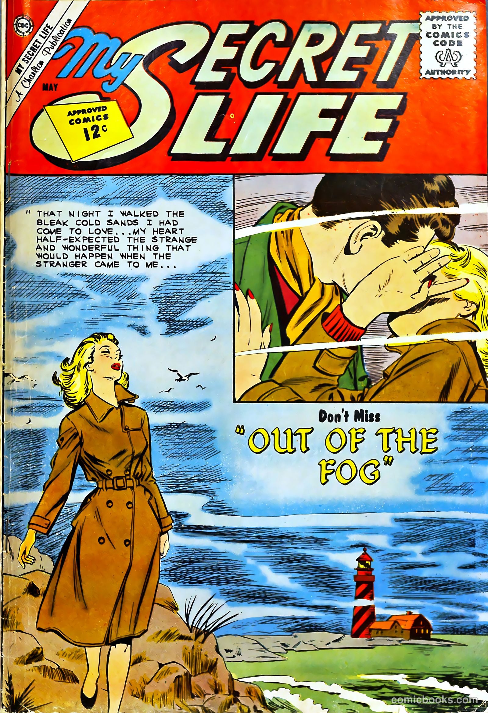 My Secret Life #45 cover