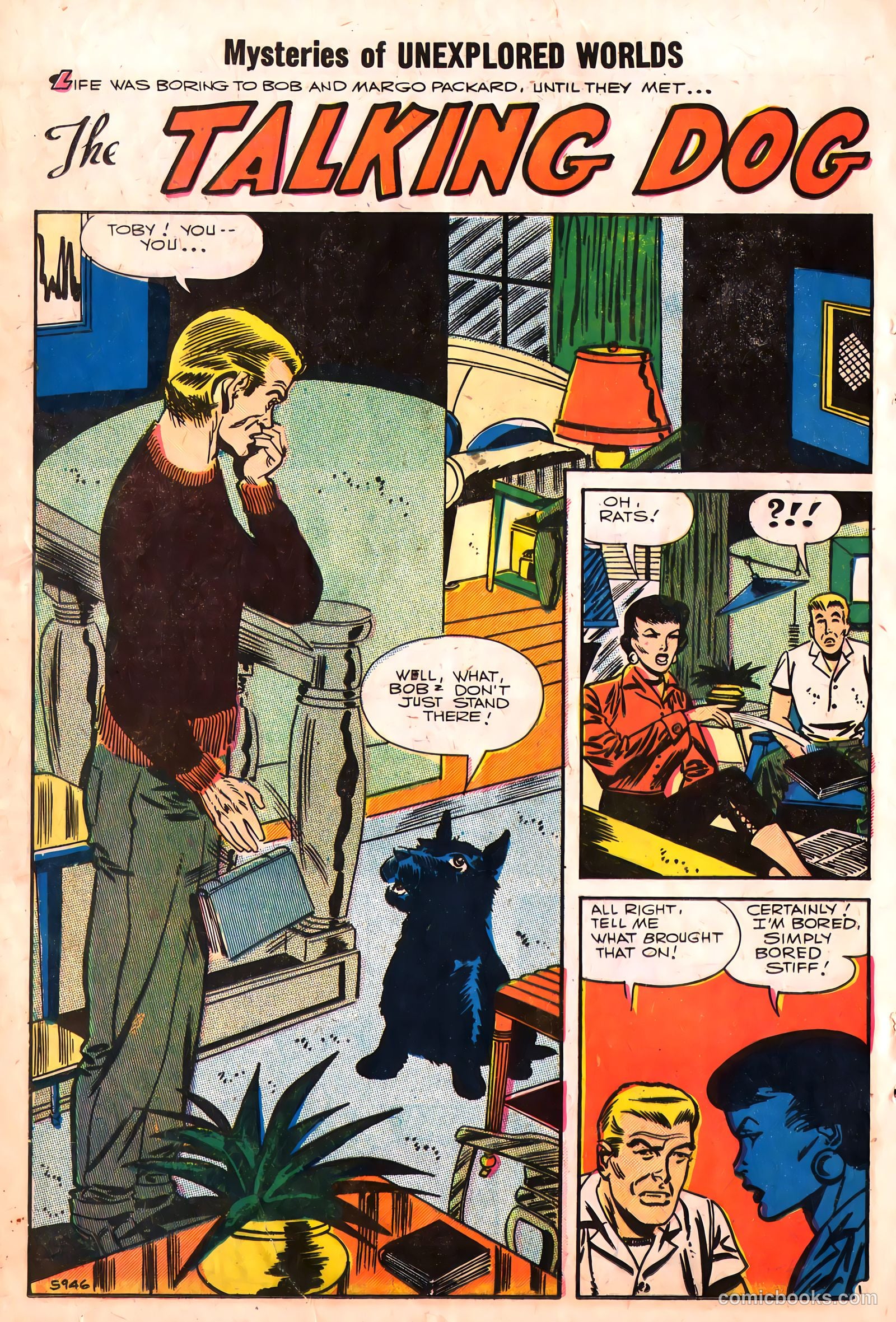 Mysteries of Unexplored Worlds #7 (1958) — page 38 of 69