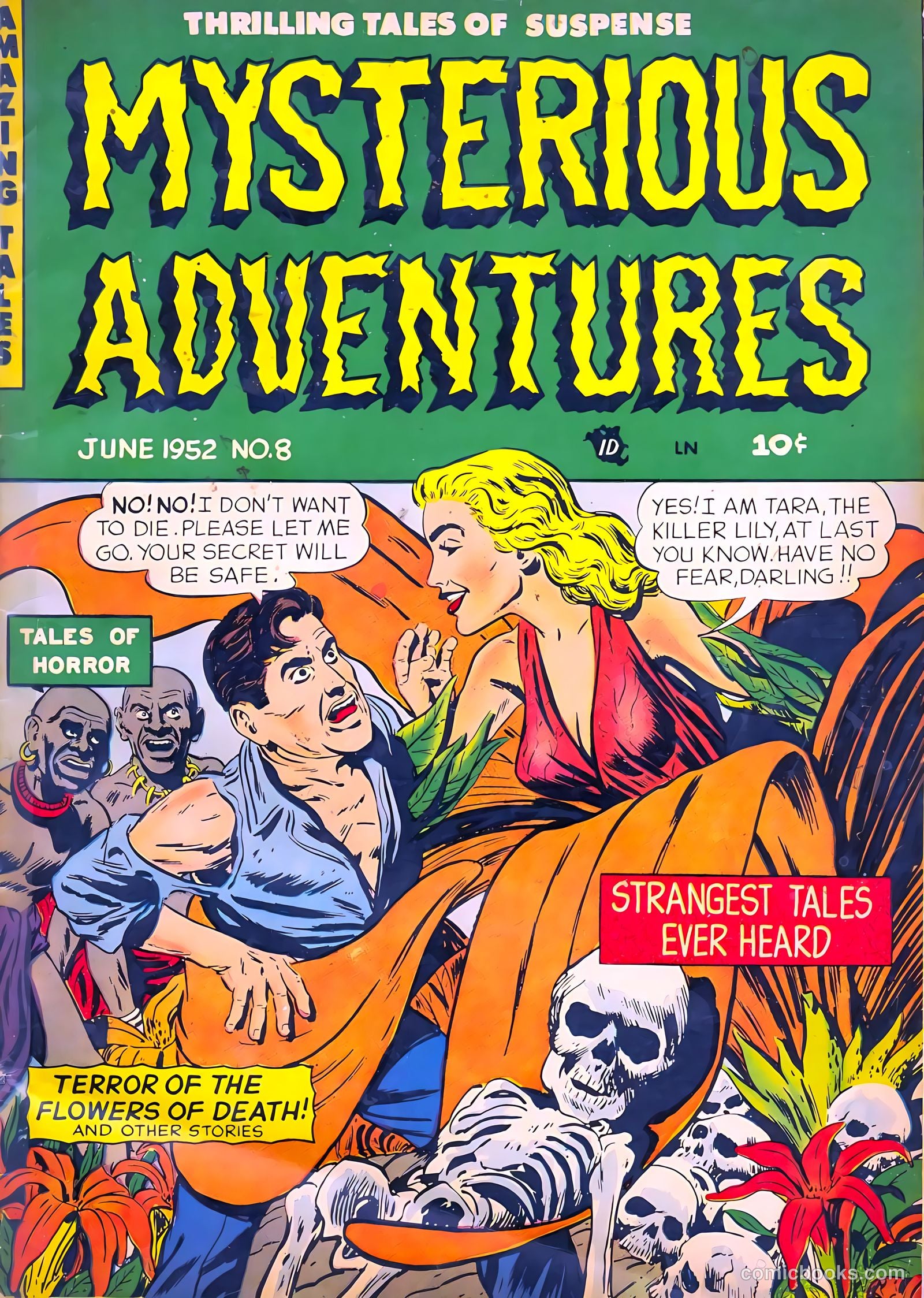 Mysterious Adventures #8