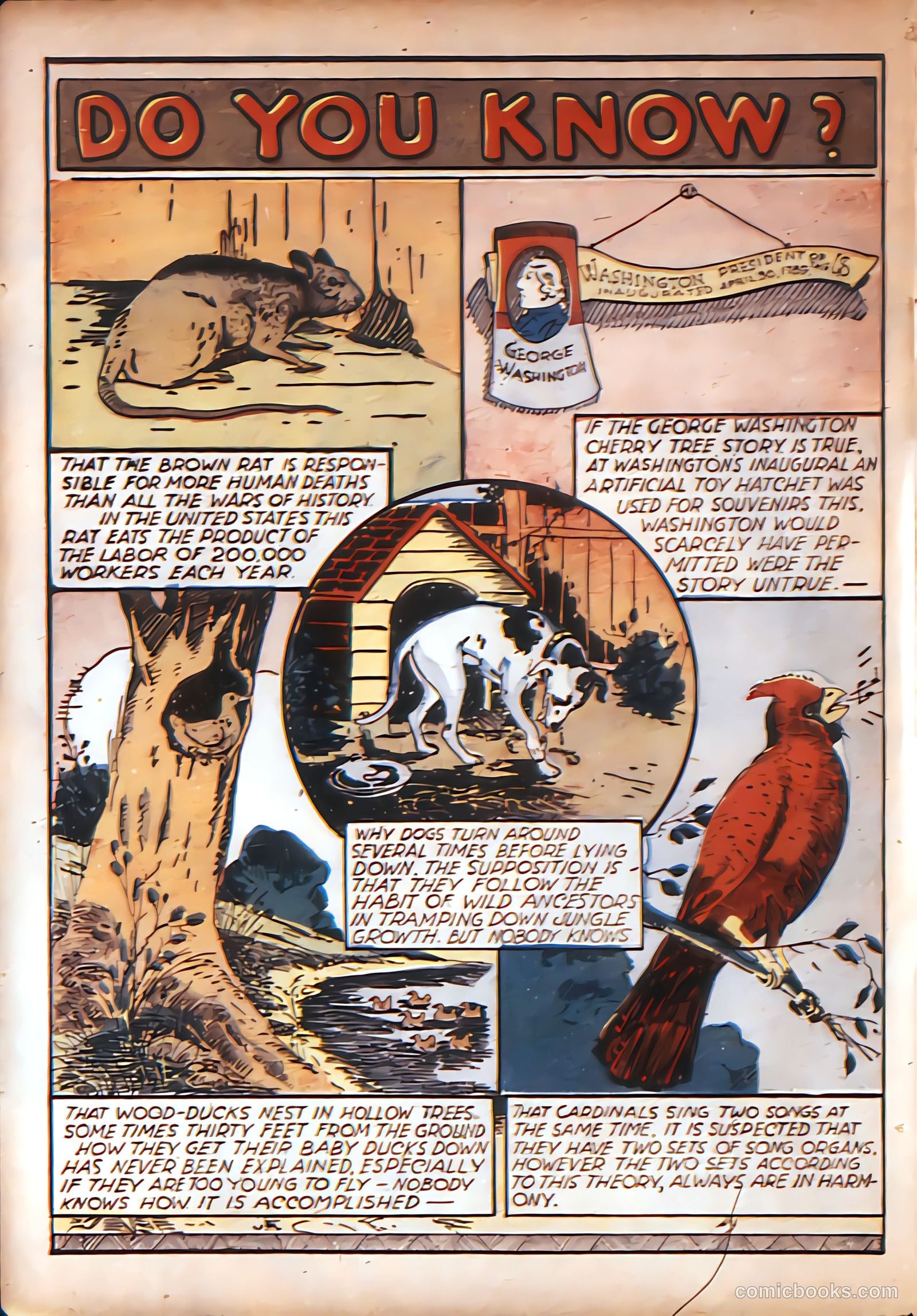 New Adventure Comics #12 (1937) — page 6