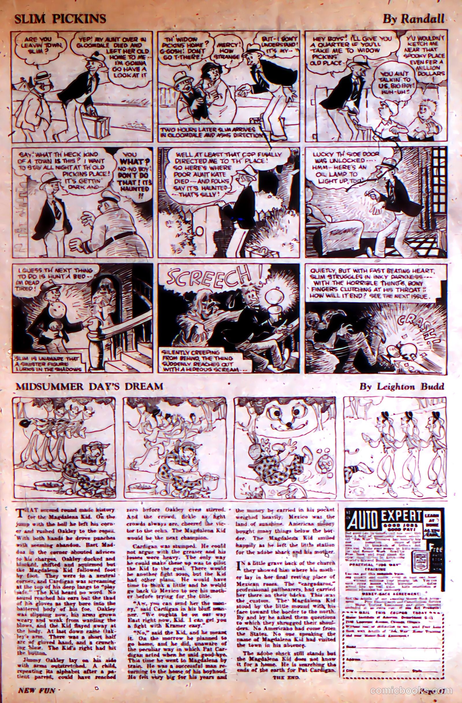New Fun #5 (1935) — page 19