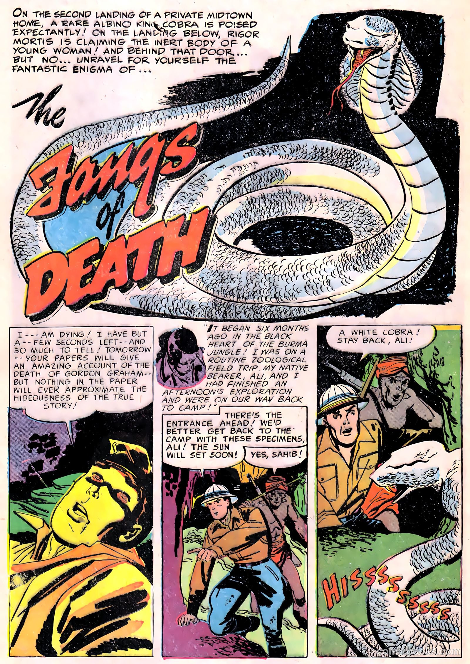 Nightmare #11 (1973) — page 28 of 36