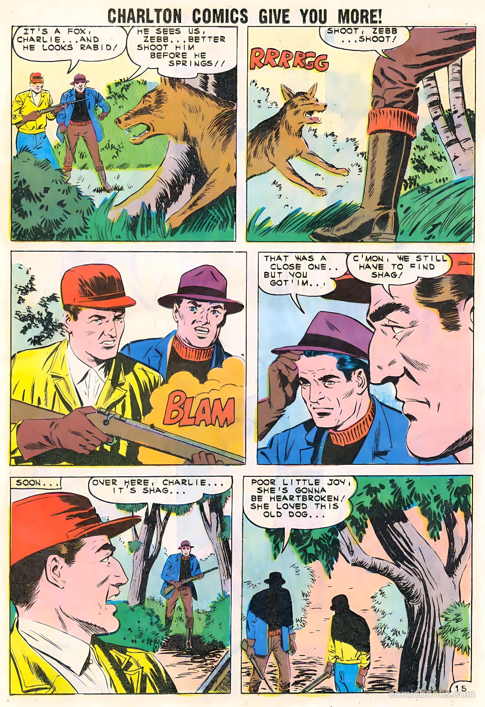 Nurse Betsy Crane #13 (1961) — page 19