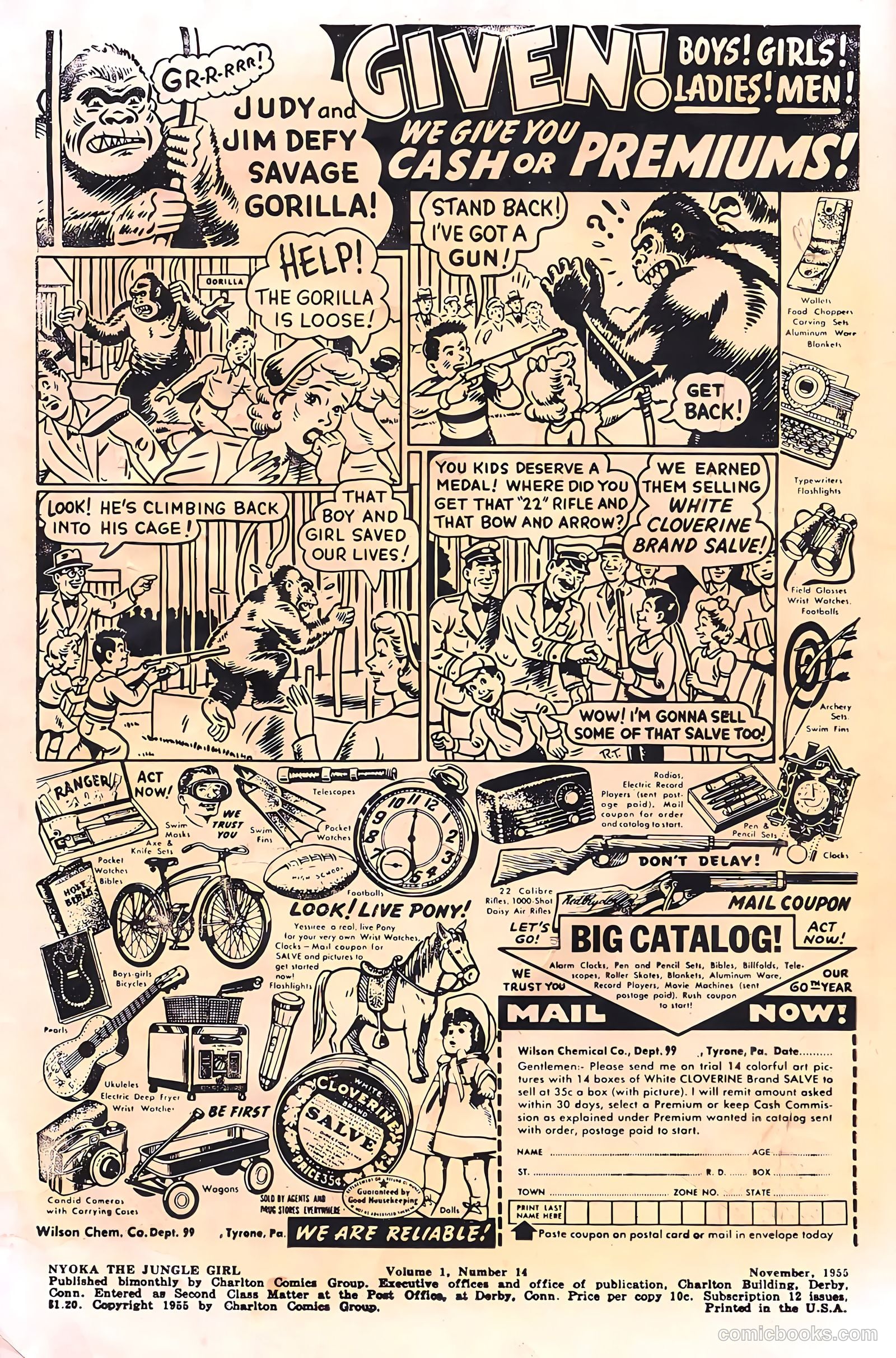 Nyoka the Jungle Girl #14 (1955, Charlton) — page 2 of 36