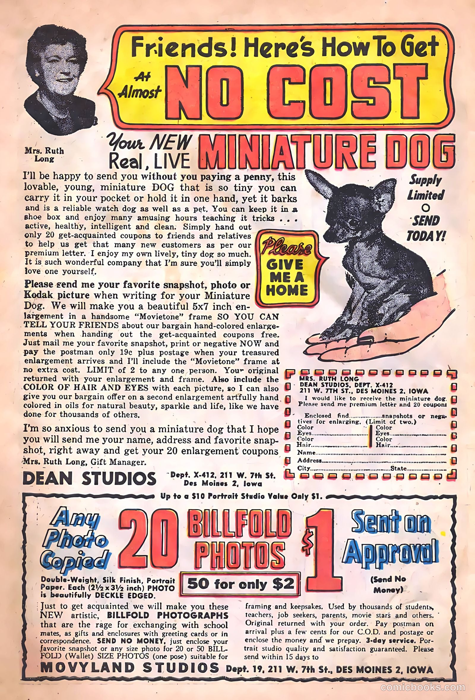 Nyoka the Jungle Girl #14 (1955, Charlton) — page 34 of 36