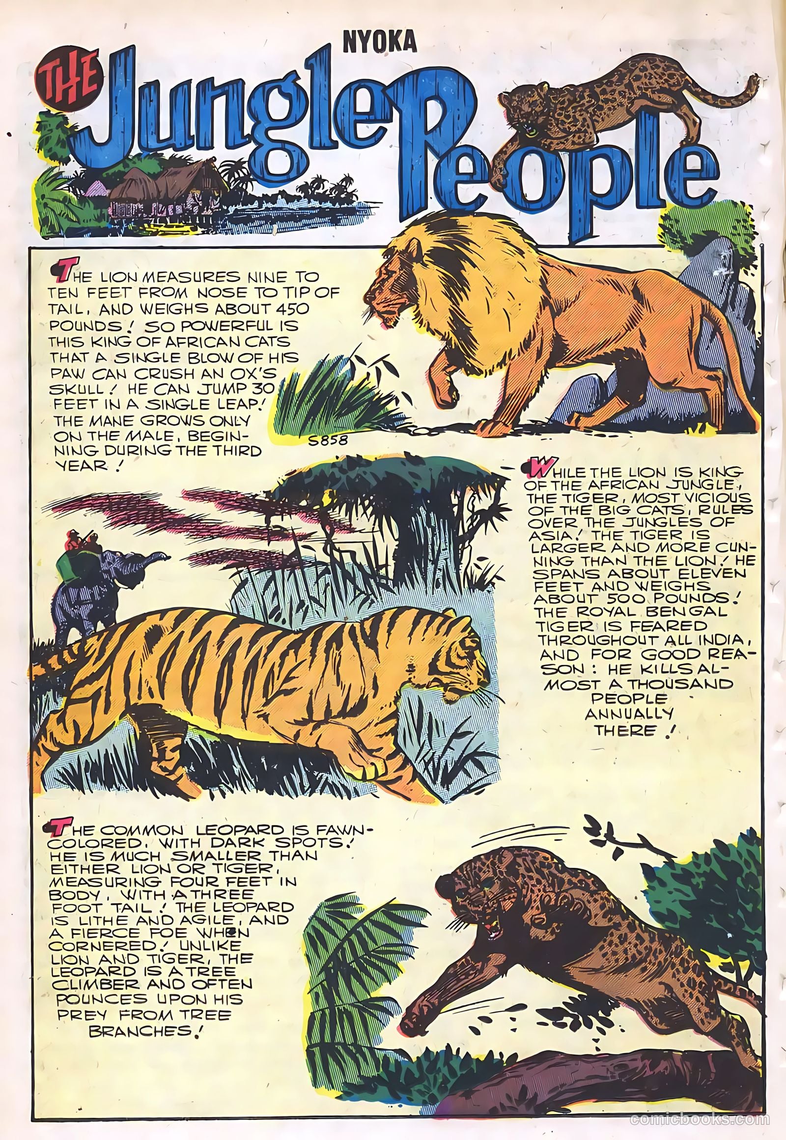 Nyoka the Jungle Girl #19 (1957, Charlton) — page 18 of 36