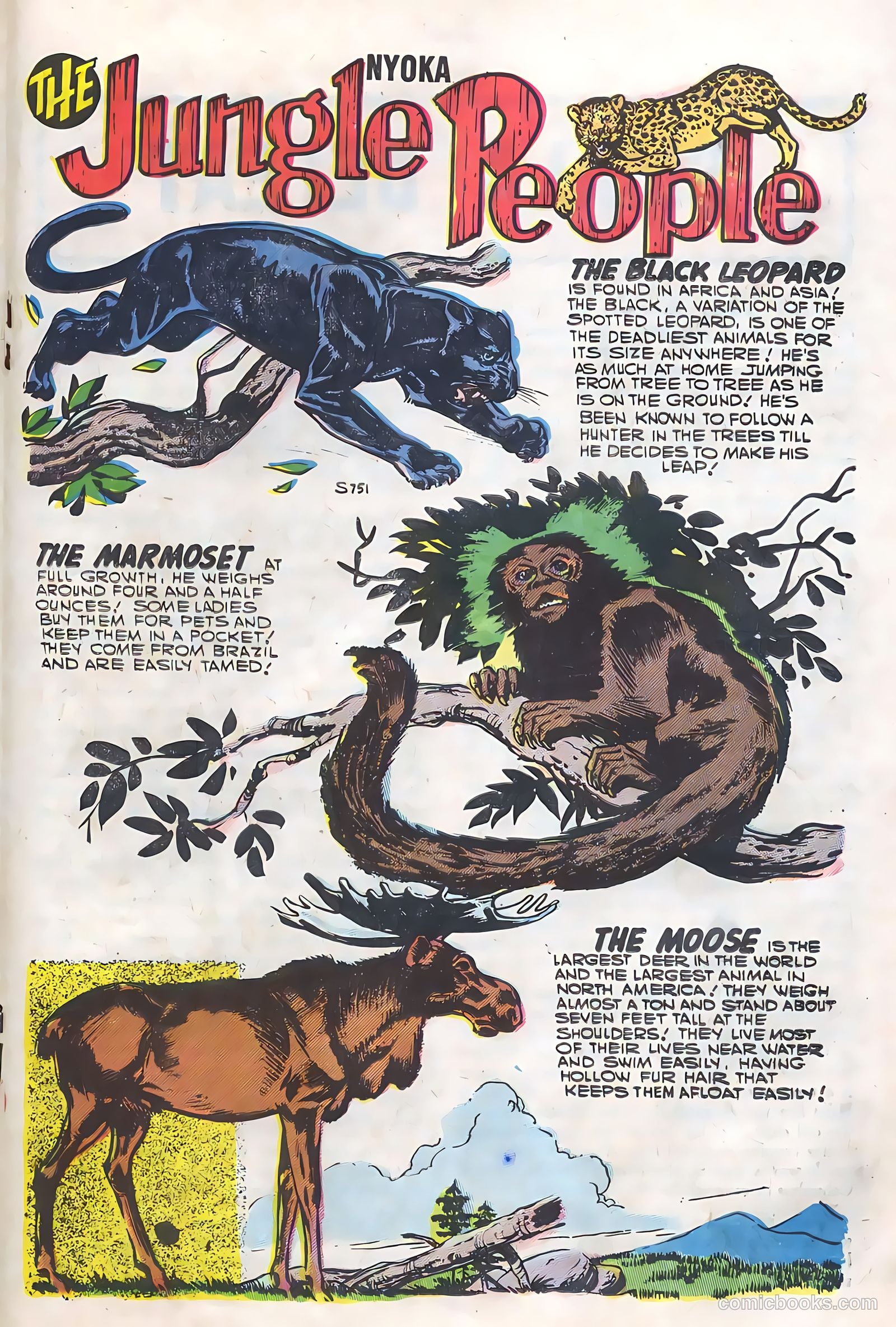 Nyoka the Jungle Girl #21 (1957) — page 19 of 36