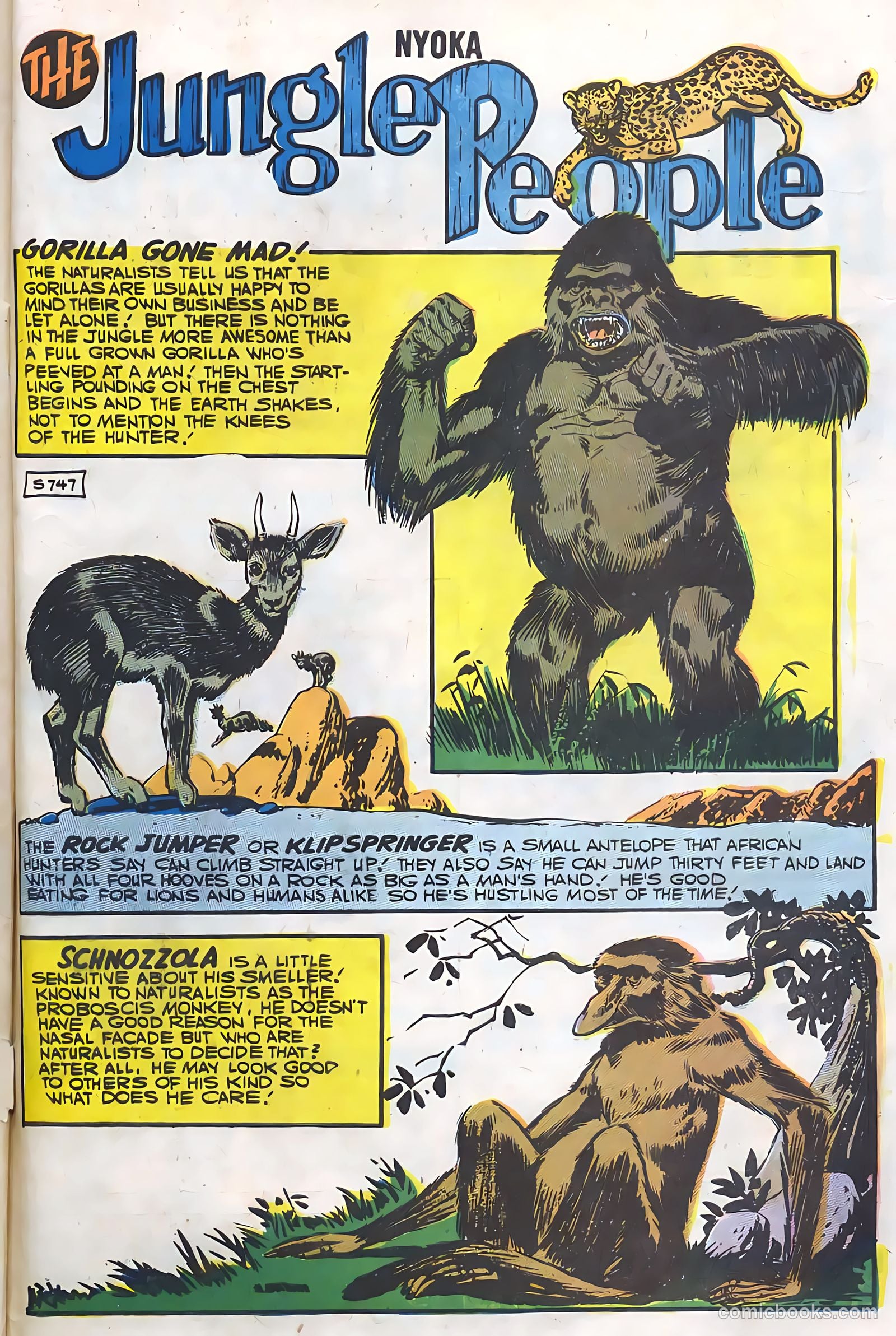 Nyoka the Jungle Girl #21 (1957) — page 33 of 36