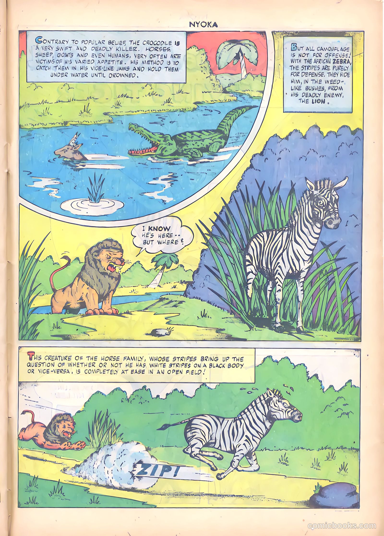 Nyoka the Jungle Girl #26 (1948) — page 39 of 50