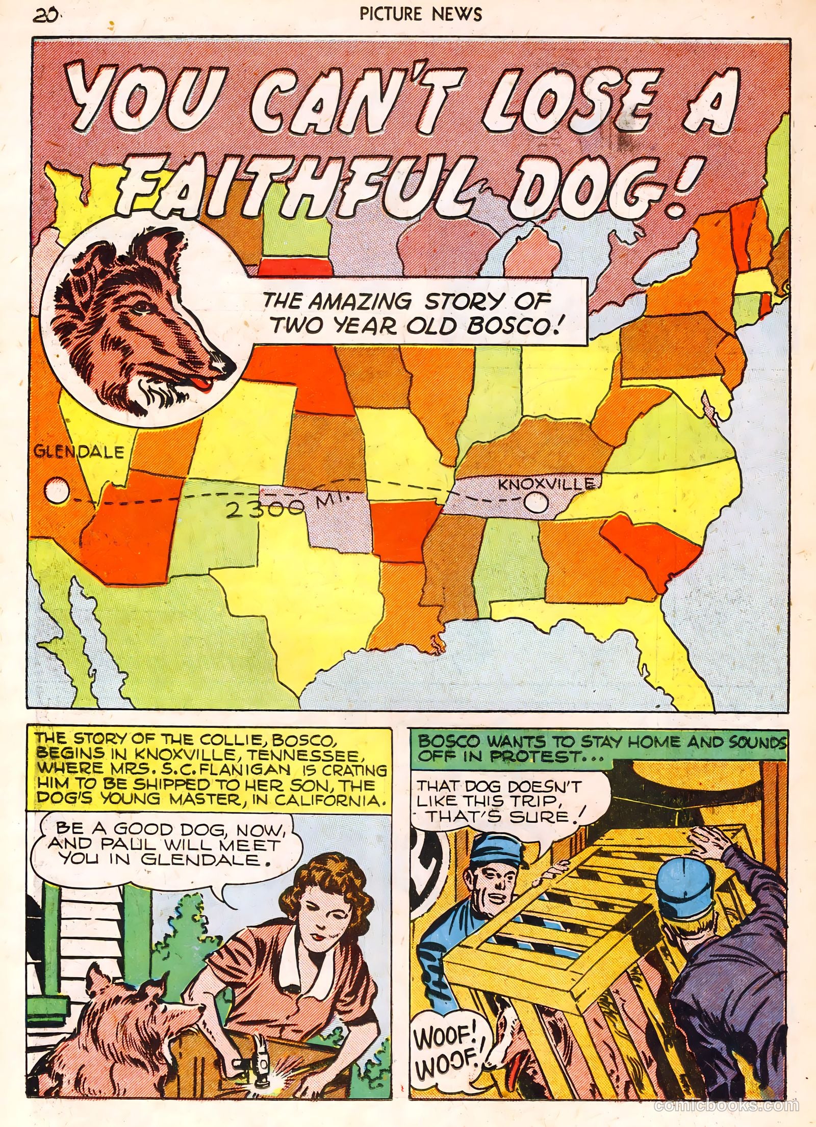 Picture News #1 (1946) — page 20