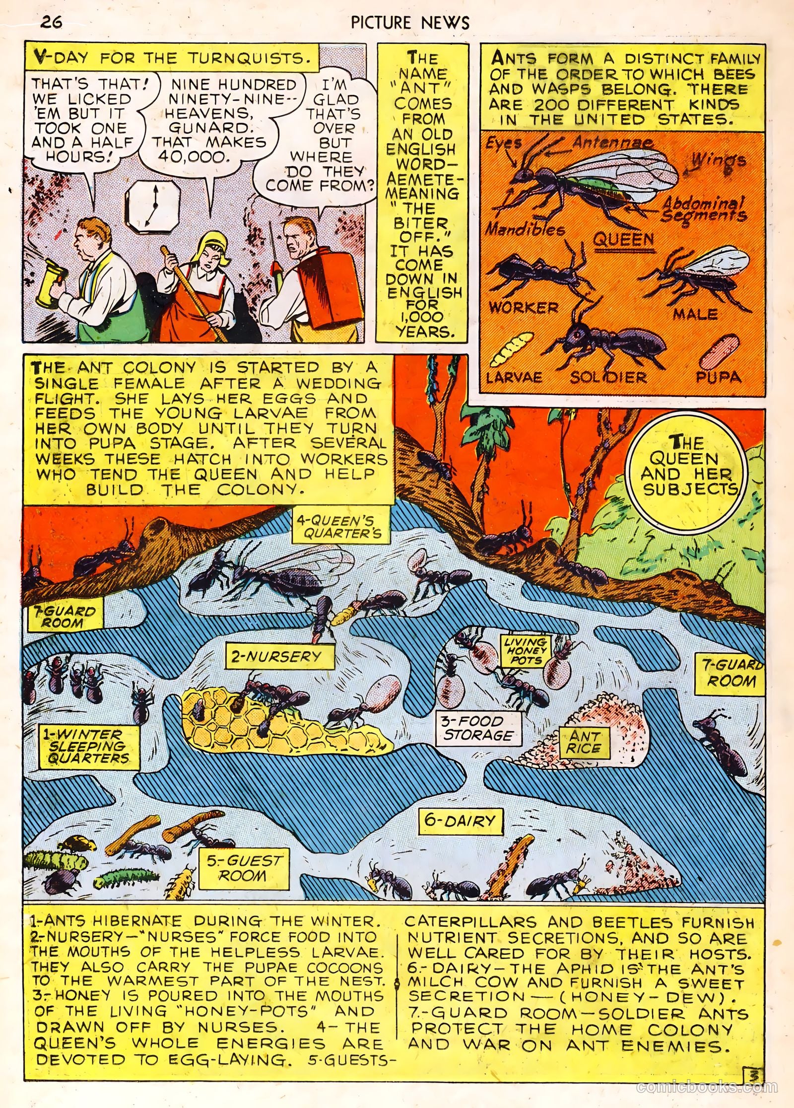 Picture News #1 (1946) — page 26