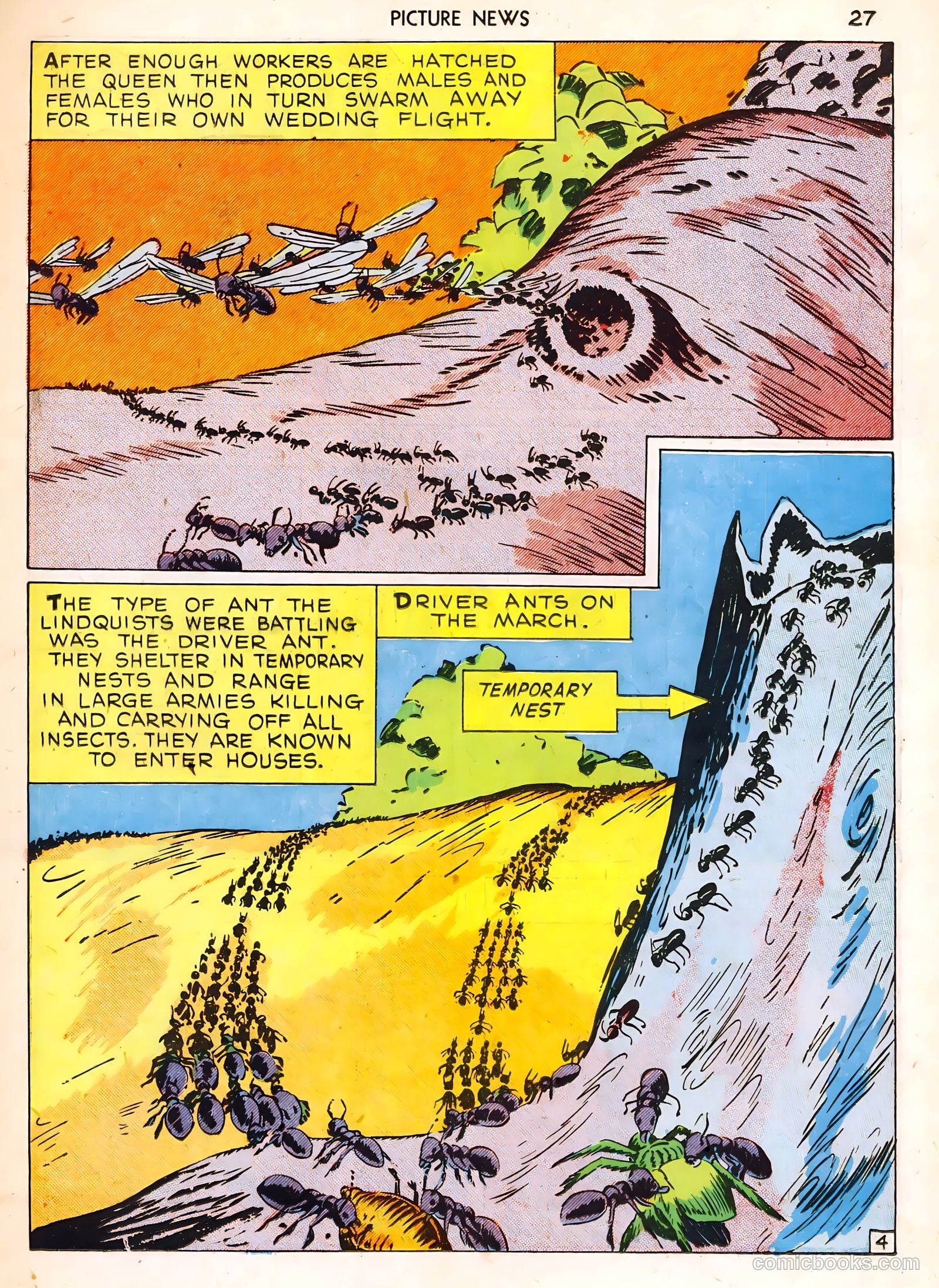 Picture News #1 (1946) — page 27