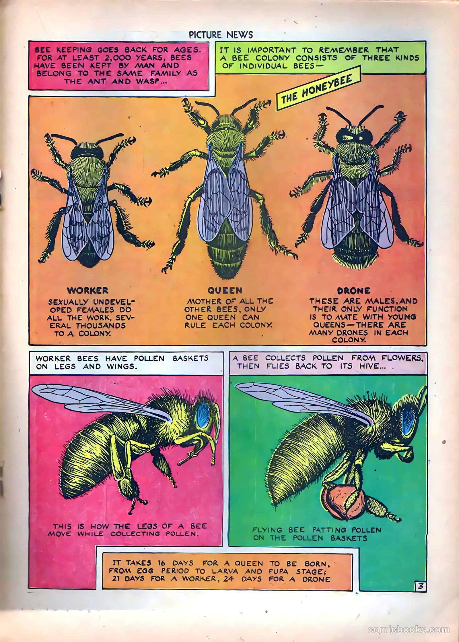 Picture News #8 (1946) — page 27