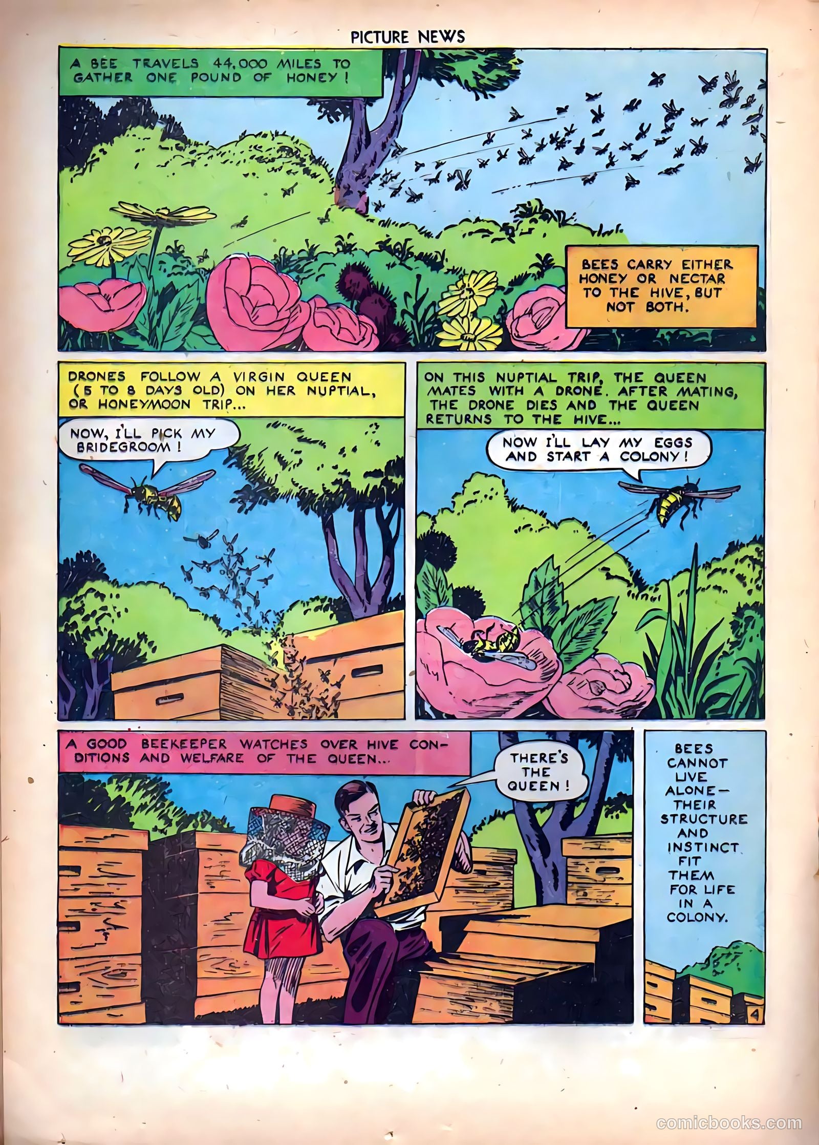 Picture News #8 (1946) — page 28