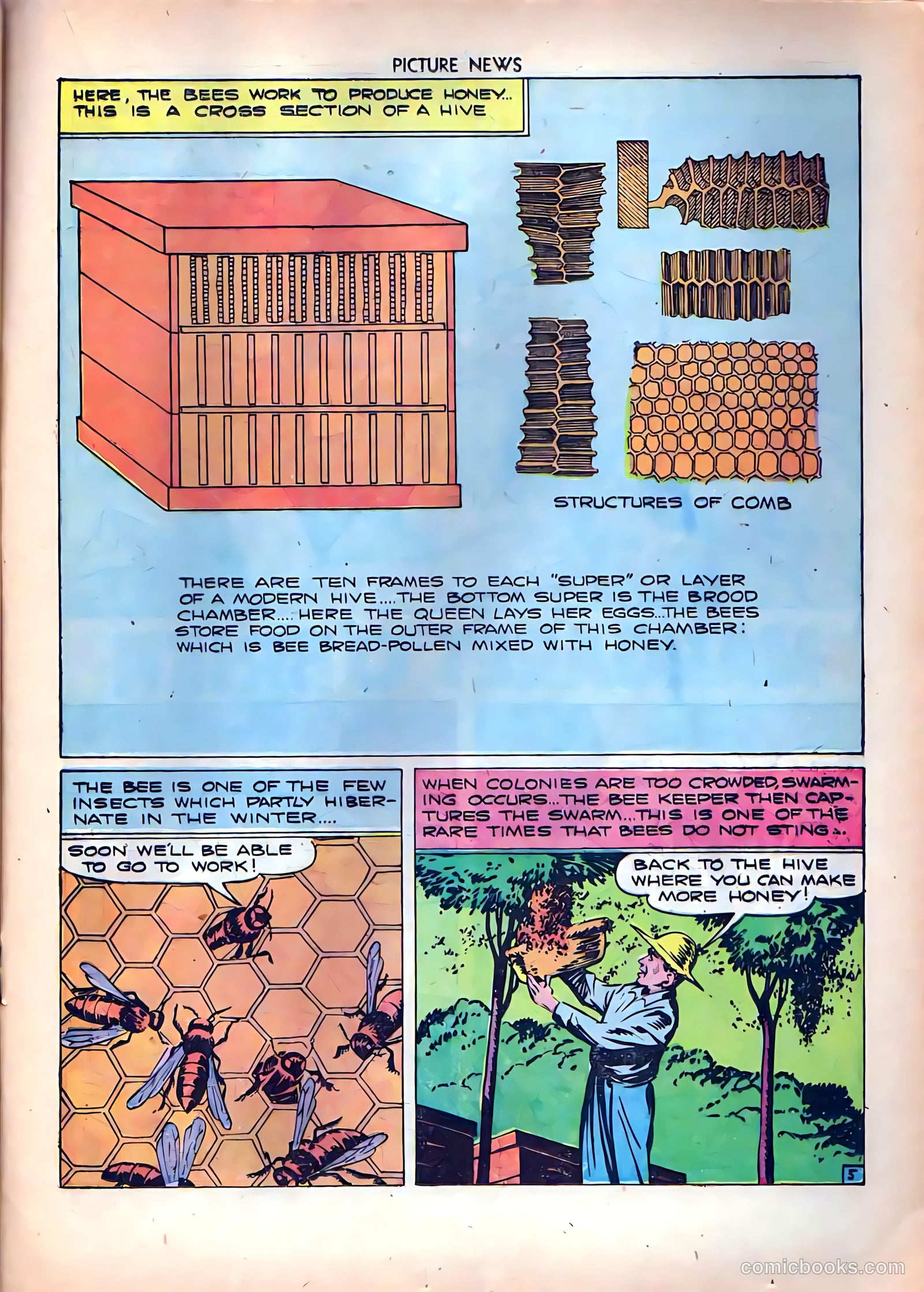 Picture News #8 (1946) — page 29