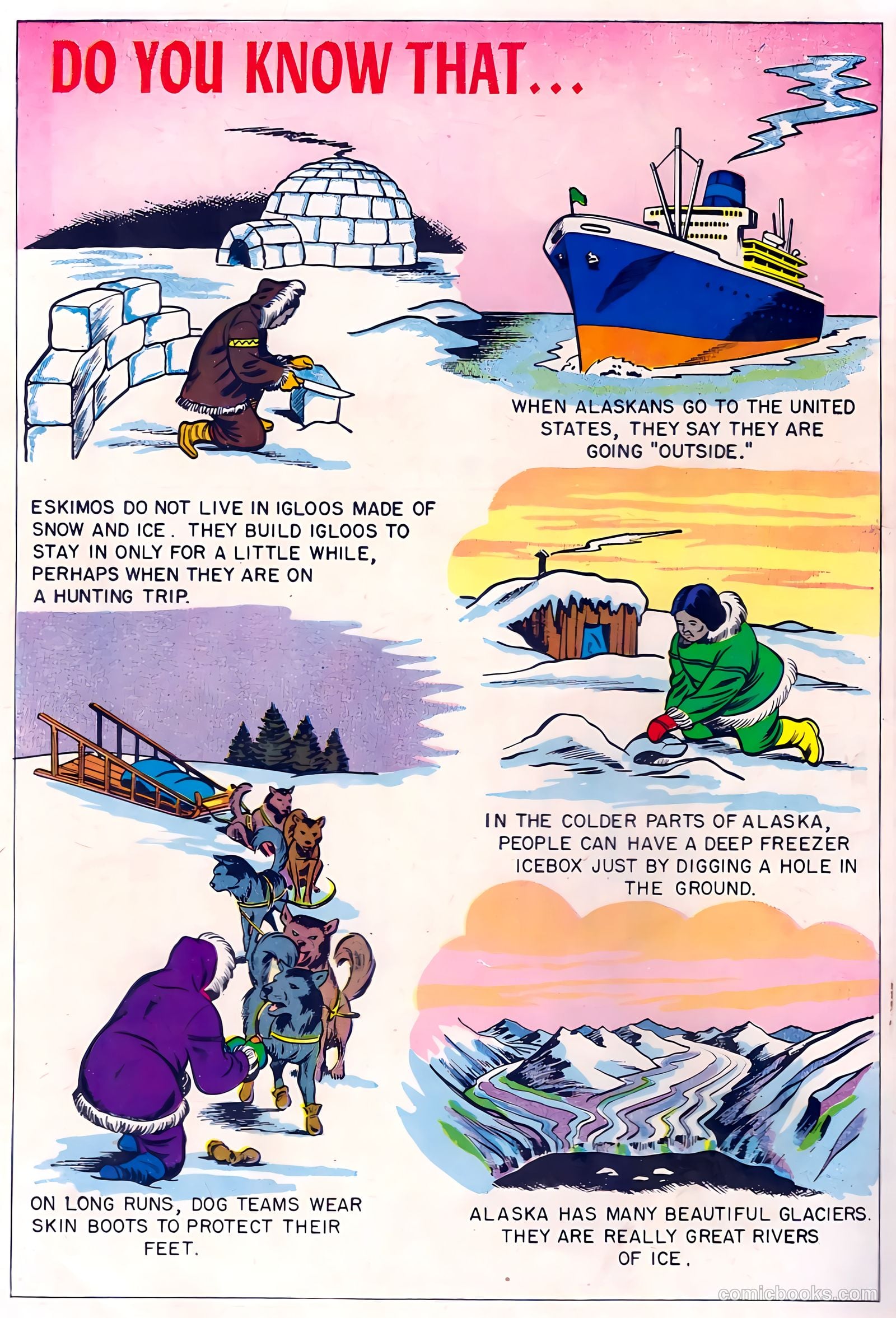 Picture Progress #6 (1954) — page 28 of 28