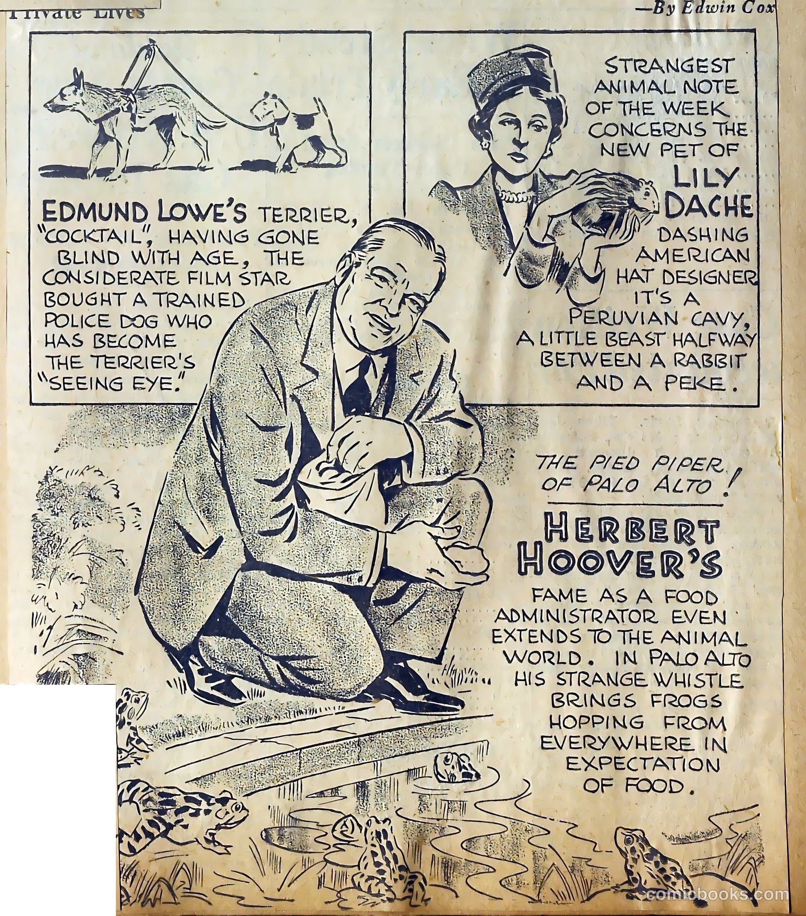 Private Lives Romances #3 — page 11 of 63