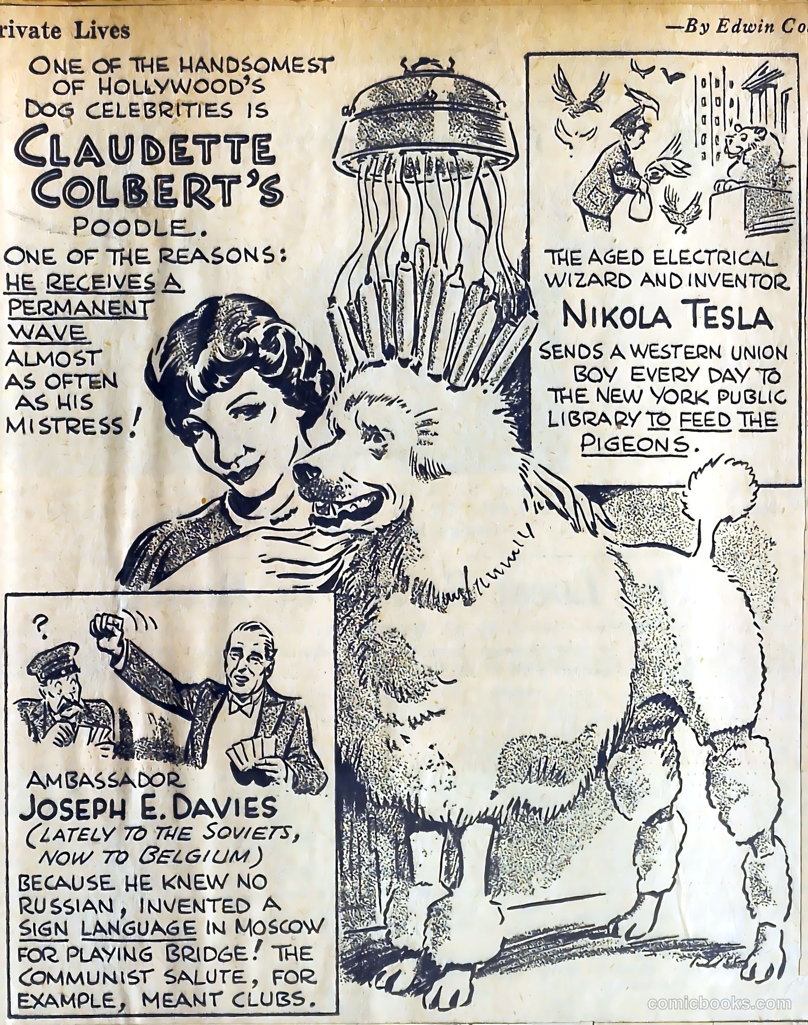 Private Lives Romances #3 — page 28 of 63