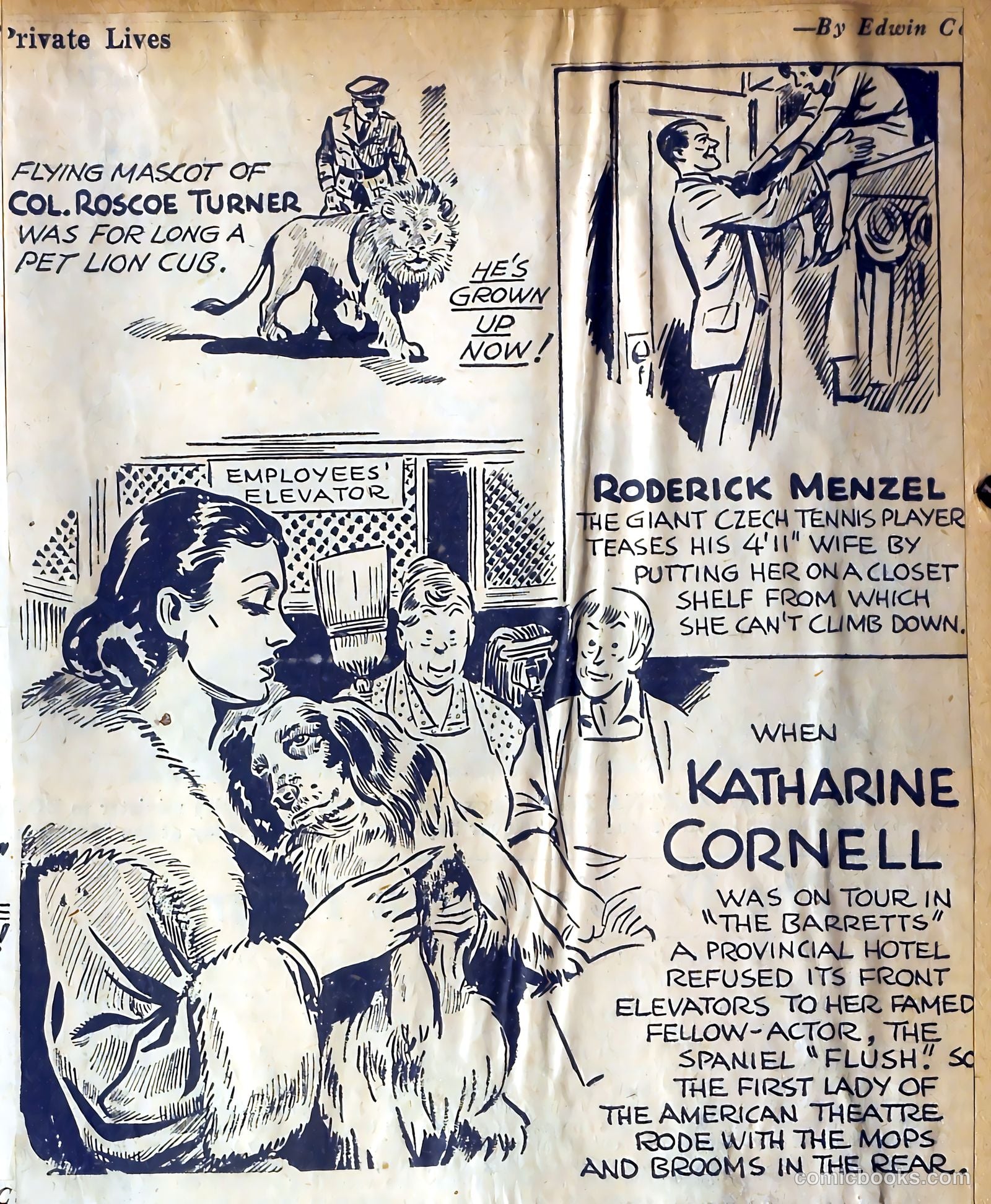 Private Lives Romances #3 — page 42 of 63