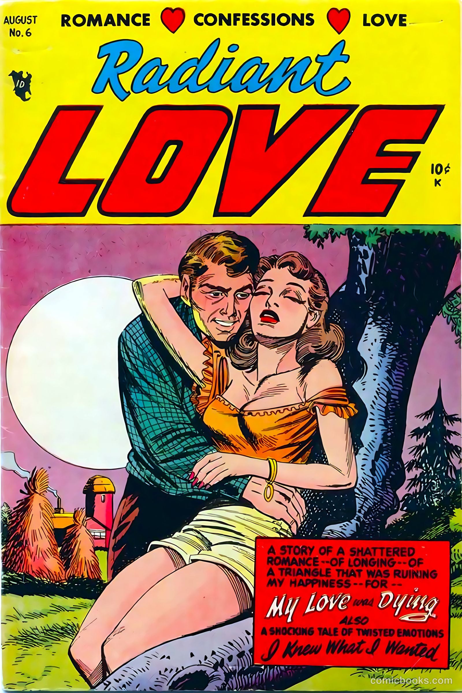 Radiant Love #6 cover