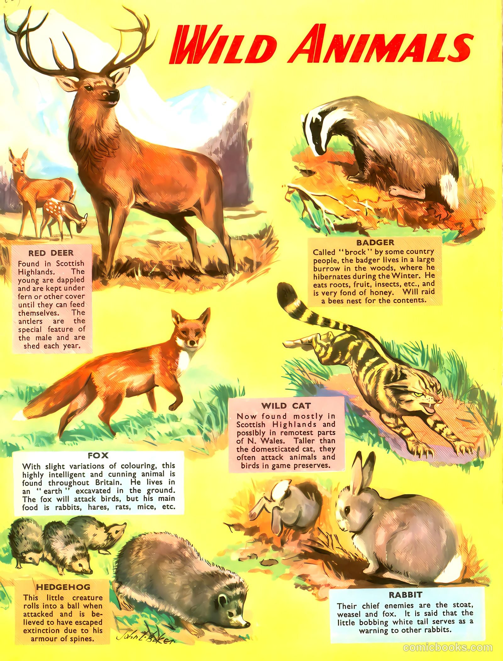 Radio Fun Annual #1959 (1959) — page 2 of 120