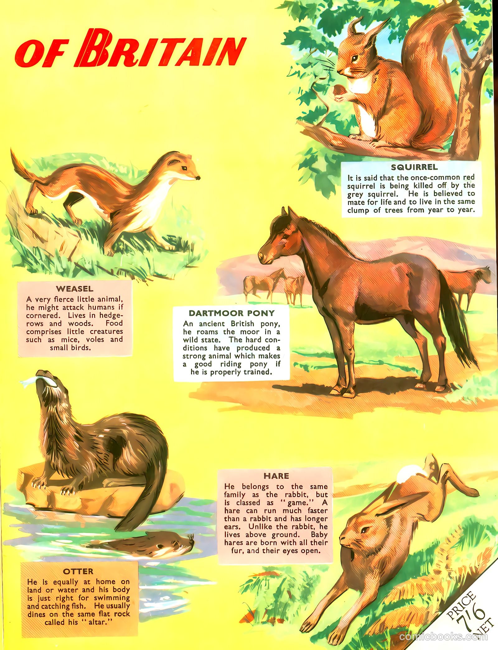 Radio Fun Annual #1959 (1959) — page 3 of 120