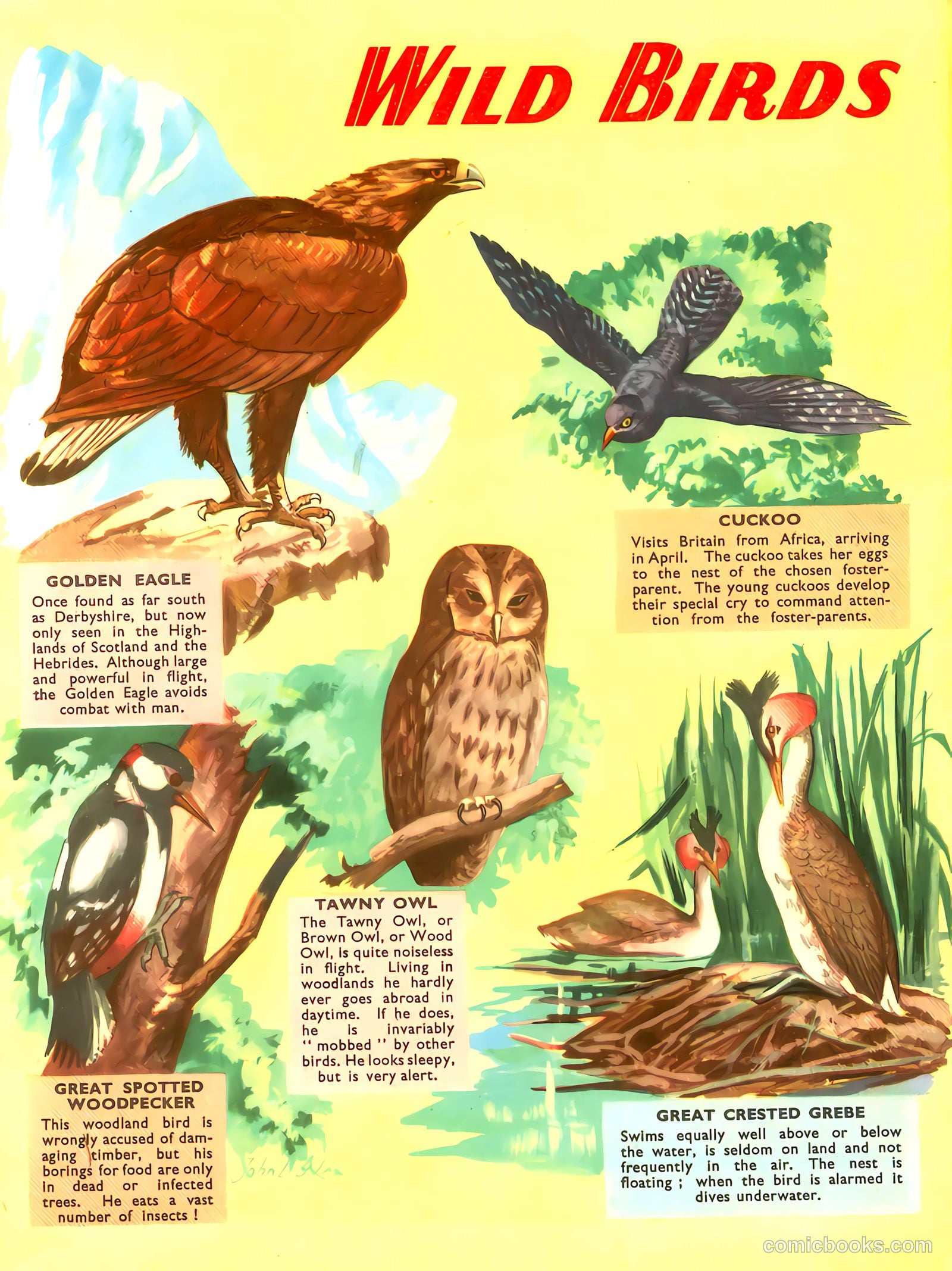 Radio Fun Annual #1959 (1959) — page 118 of 120
