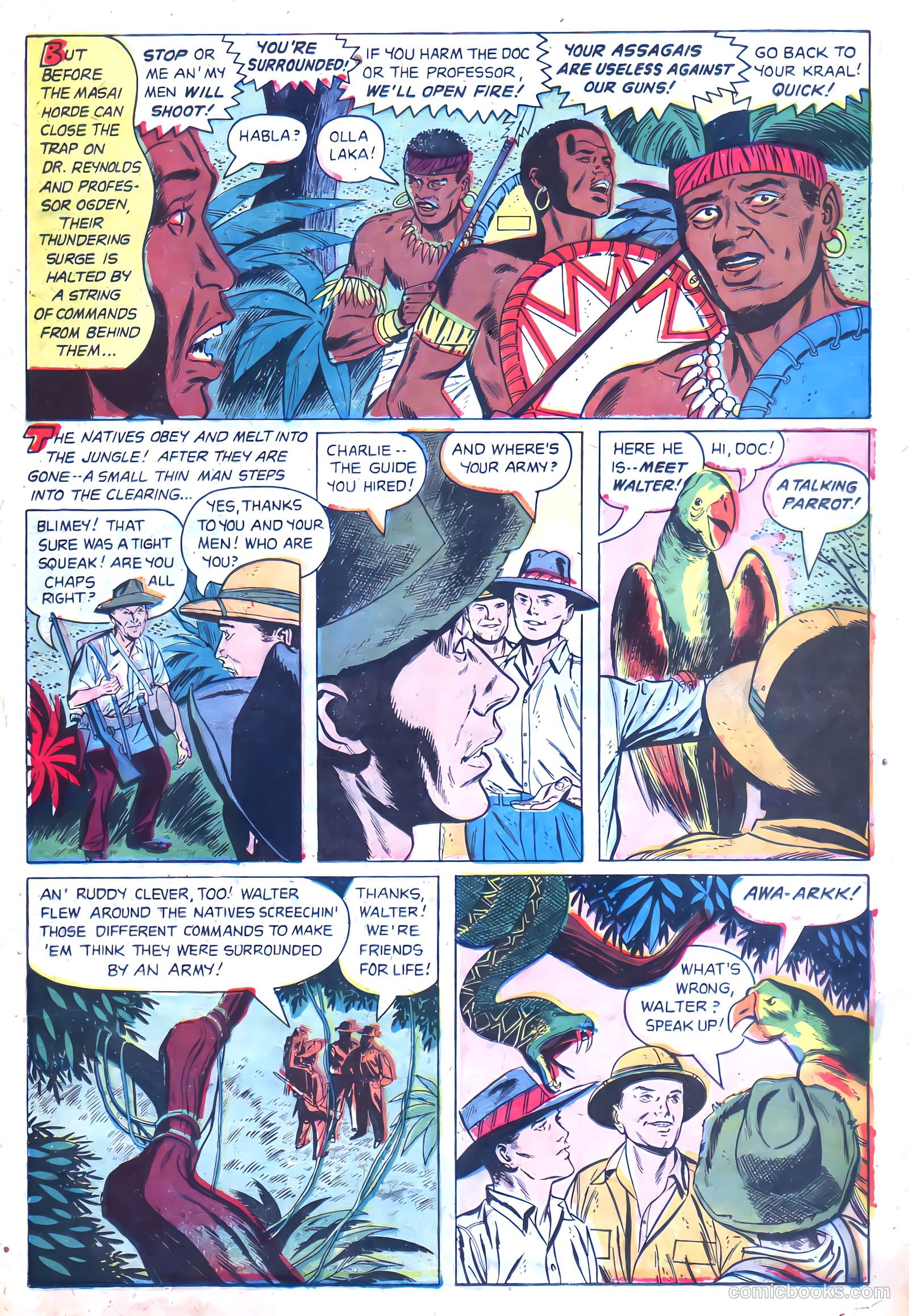 Ramar of the Jungle #1 (1954) — page 13