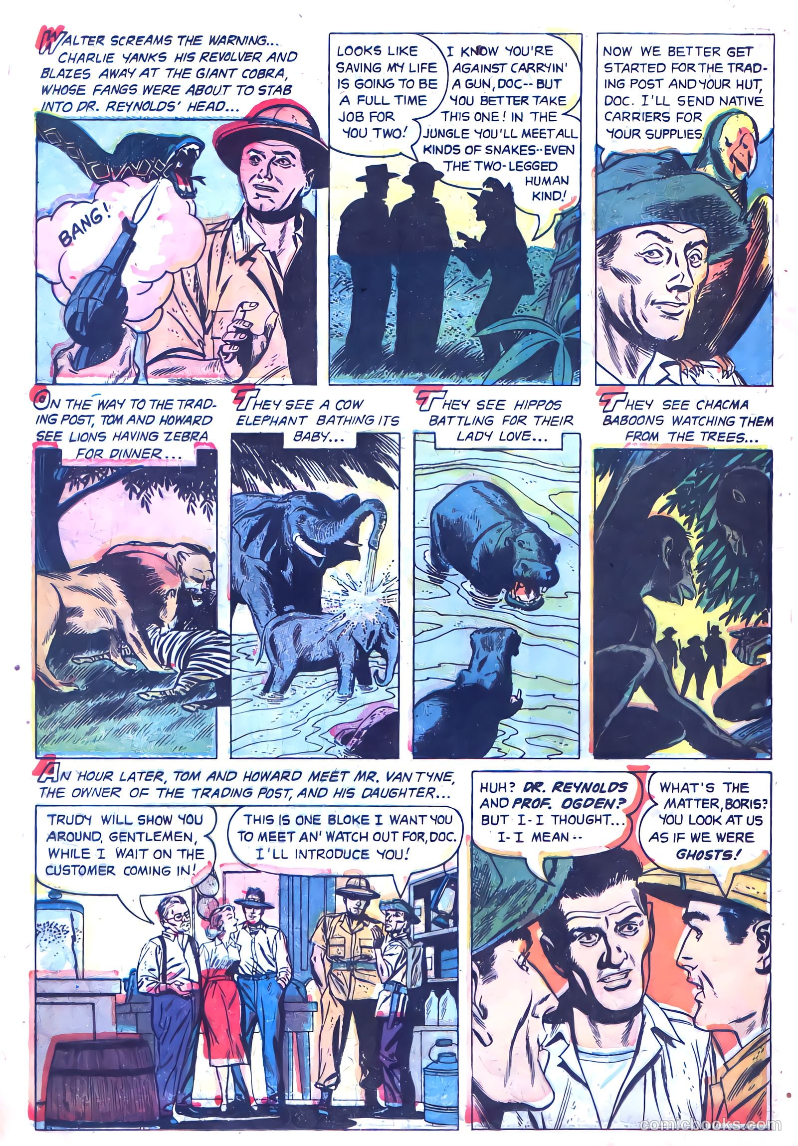 Ramar of the Jungle #1 (1954) — page 14